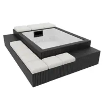 Platinum Spas Mirage Mini Pool - minibazén