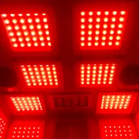 SaunaWellness™ PRO 10 - infračervená sauna