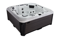 Platinum Spas Tokyo Hot Tub