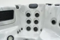 Platinum Spas Colombo Hot Tub