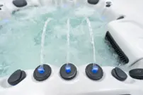 Platinum Spas Florence Luxury hot tub