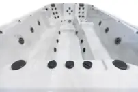 Platinum Spas Titan Swim Spa