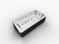 Platinum Spas Titan Swim Spa