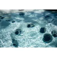 Platinum Spas Tokyo Hot Tub